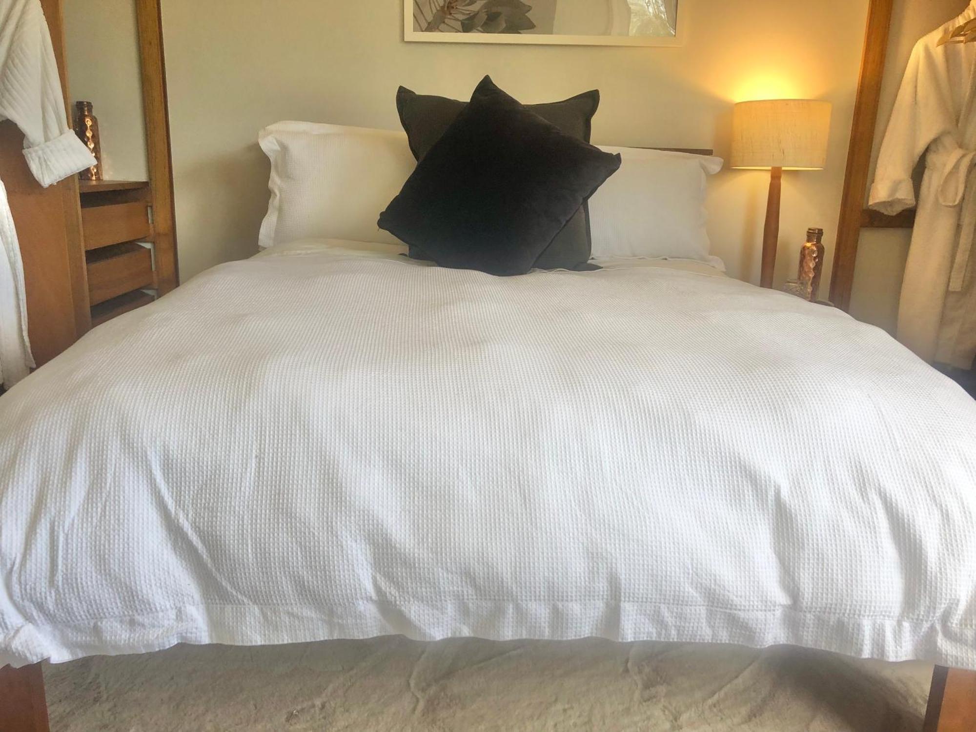 Lovely Budget Vegan Homestay ロンセストン エクステリア 写真