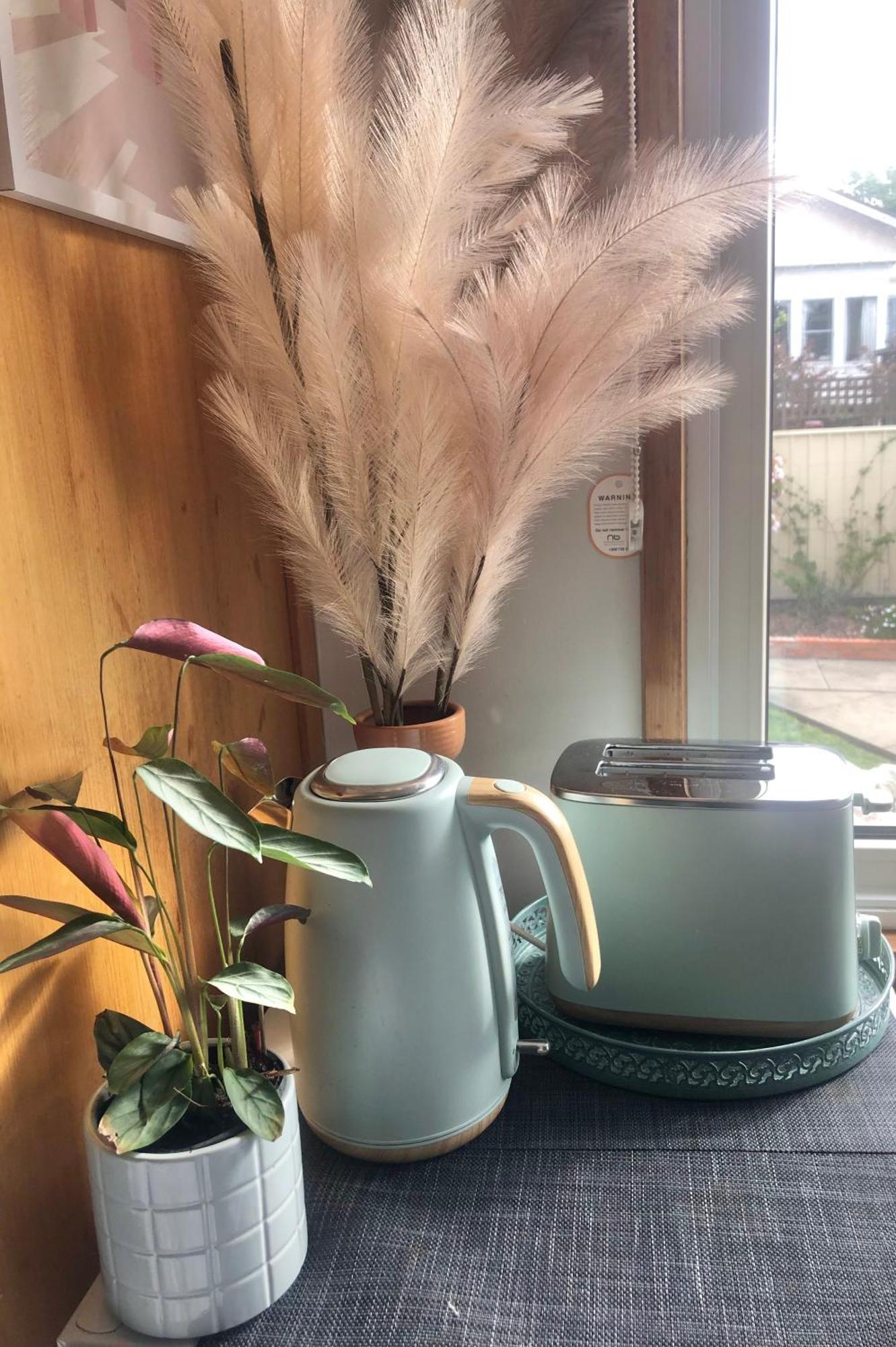 Lovely Budget Vegan Homestay ロンセストン エクステリア 写真